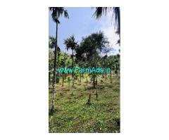 Farmland for sale in Attappadi, Jellippara 1.05 acre