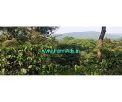 3.75 Acres Coffee Plantation for Sale Near Madikeri