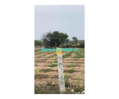 Land for sale 3 acre 15 Gunte Near Begur
