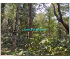 Maintained 3 Acres Coffee Estate is located at Coorg