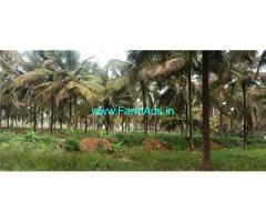 6 Acres coconut garden for sale before KB Cross