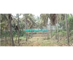 6 Acres coconut garden for sale before KB Cross