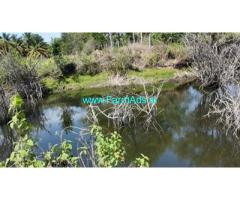 2 Acre 32 gunta Arecanut Farm for Sale Near Chelur