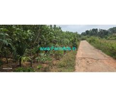 17 guntas Robusta, Areca new plantation sale in Mudigere