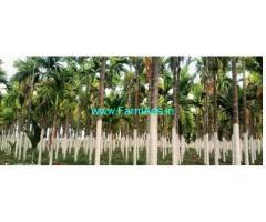 8 Acres premium farmhouse Sale Between Sira and Hiriyur