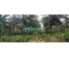 6 Acres coconut garden for sale before KB Cross