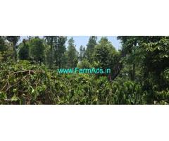 8 acre well maintained Robusta,pepper plantation sale in Mudigere