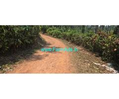 8 acre well maintained Robusta,pepper plantation sale in Mudigere