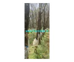 25 acres agriculture land sale near Belthangady