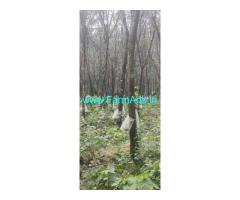 25 acres agriculture land sale near Belthangady