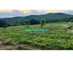 10 acre riverside property for sale in Attappadi