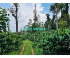 5 acre boundary Coffee plantation sale in Mudigere