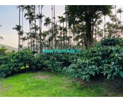 5 acre boundary Coffee plantation sale in Mudigere