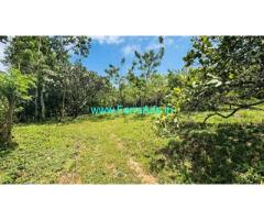 Low budget 2 Acre farmland for sale in Attappadi