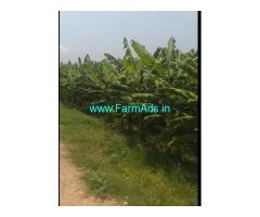 4.15 Acre Agriculture Land for Sale Channapatna