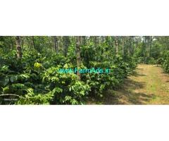 4.5 acre Arabica well maintained plantation sale in Chikmagalur