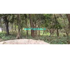 7 acre Farm land sale in Mudigere