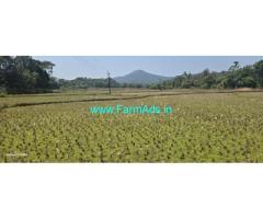15 acre Agri land sale in Mudigere