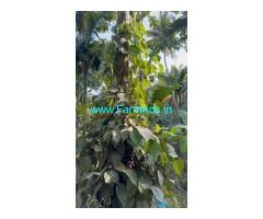 Farmland for sale in Attappadi 1.05 acres