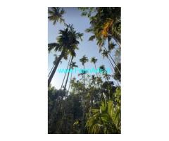 Farmland for sale in Attappadi 1.05 acres