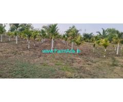 6 Acres Agriculture Land For Sale in Kasaba Hobli