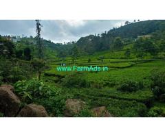 10 Cents Land for sale in Kotagiri