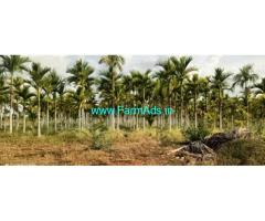 21 Acres yielding coconut garden for sale near Hiriyur