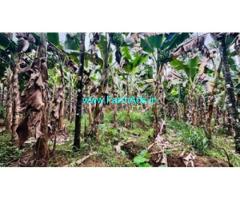 Low Budget Farm land for Sale in Attappadi 55 cents