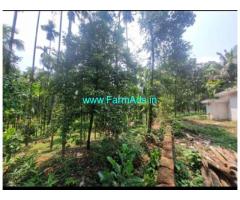 10 acres agriculture land sale near Belthangady