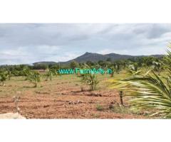 Coconut Farm Land 4 acre for sale near Gundlupet