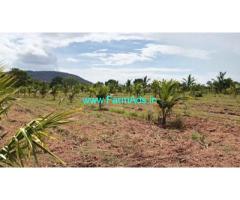 Coconut Farm Land 4 acre for sale near Gundlupet