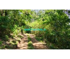 23 acres coffee,pepper farm estate sale Solaikadu village