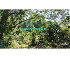 23 acres coffee,pepper farm estate sale Solaikadu village
