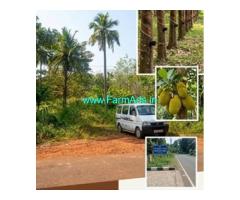 50 cent Agriculture land Sale near Ichilampady