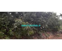 2.0 acres mango farm land sale at Ayyampalayam village