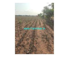 33 acres Agri Land for Sale at Mallepally X road