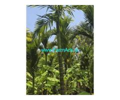 30 gunta coconut Arecanut farmhouse for sale near Mysore,Mysore airport