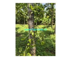30 gunta coconut Arecanut farmhouse for sale near Mysore,Mysore airport