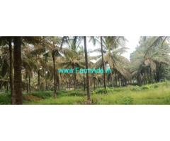 6 Acres coconut garden for sale before KB Cross