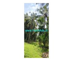 12 acres agriculture land sale near Belthangady