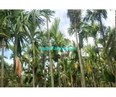 20 Acres with 5 Acres Karab Farm Sale Between Kunigal Yediyur