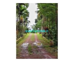 4 acre farm land with a fully furnished house Sale at Badaiadka