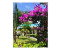 4.21 Acres Farmhouse For Sale In Bannerghatta Road,Harohalli Road