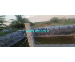 4 Acres yielding coconut garden for sale near Sira town