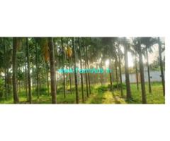 35 guntha yielding Areca Farm sale near Tumkur City