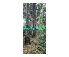 10 acres agriculture land sale near Siddakatte