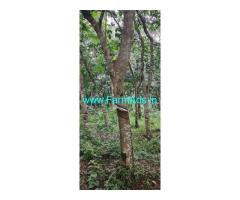 10 acres agriculture land sale near Siddakatte