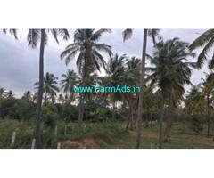 12 acre coconut and mango Farm for Sale near Ramanagara