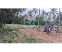 12 acre coconut and mango Farm for Sale near Ramanagara
