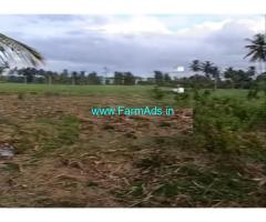 Caveri Channel Attached 1 Acre Agriculture Land for Sale near Mandya